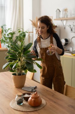 Kıvırcık saçlı kadın, rahat dairesini temizlerken ev bitkileriyle ilgilenir..