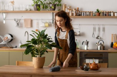 Bukleli genç bir kadın, modern dairesini düzenlerken evin içinde keyifli bir anın tadını çıkarıyor..