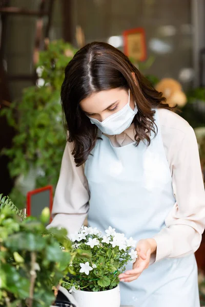 Florist in medizinischer Maske berührt Topfpflanzen im Blumenladen auf verschwommenem Vordergrund — Stockfoto