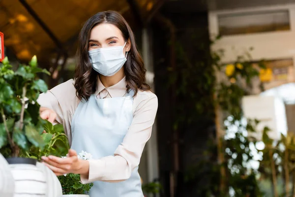 Florista positivo en máscara médica que se preocupa por las plantas en maceta sobre fondo borroso - foto de stock