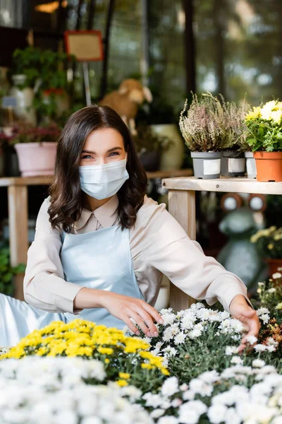 Cheerful florist in medical mask touching chrysanthemums on blurred foreground — Stock Photo