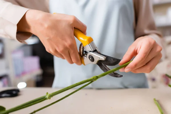 Partial view of florist cutting plant steam with secateurs on blurred background — Stock Photo