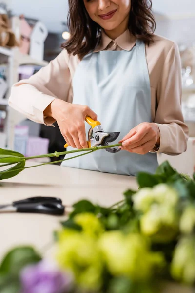 Abgeschnittene Ansicht eines lächelnden Blumenhändlers, der Dampf in der Nähe von Blumen mit verschwommenem Vordergrund schneidet — Stockfoto