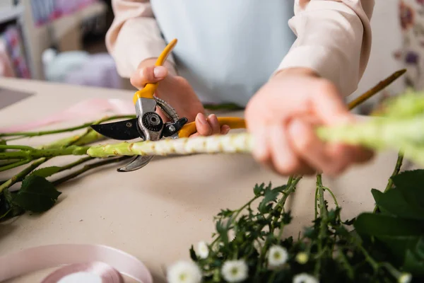 Nahaufnahme von Florist mit Gartenschere Schneiden Stiel der Pflanze in der Nähe Chrysanthemen auf dem Schreibtisch auf unscharfen Vordergrund — Stockfoto