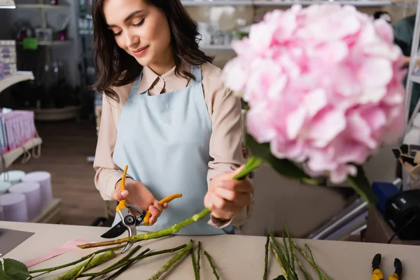 Позитивная женщина-флористка режет стебель растения у стола с размытыми гортензиями на переднем плане — стоковое фото