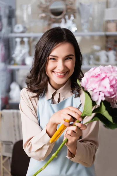 Счастливая флористка с секаторами и цветущими гортензиями, смотрящая на камеру в цветочном магазине на размытом фоне — стоковое фото