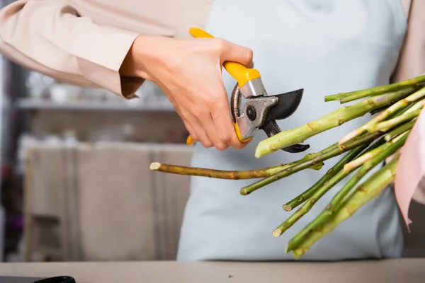 Vue recadrée du fleuriste femelle tenant des sécateurs près des tiges de fleurs sur fond flou — Photo de stock