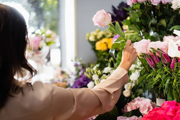 Vue arrière de fleuriste femelle prenant rose en magasin avec des fleurs floues et fenêtre sur le fond — Photo de stock