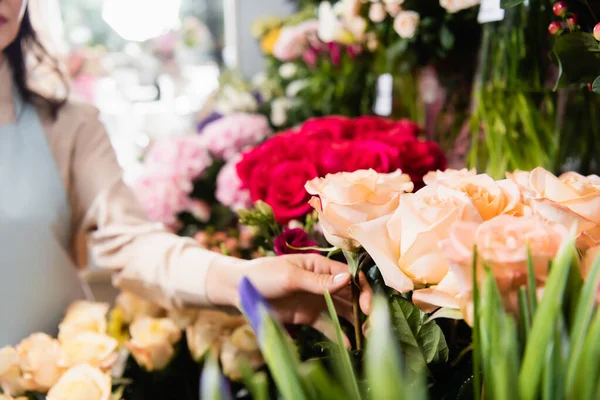 Обрезанный вид женщины-флориста трогательный розы в магазине с размытыми цветами на заднем плане — стоковое фото