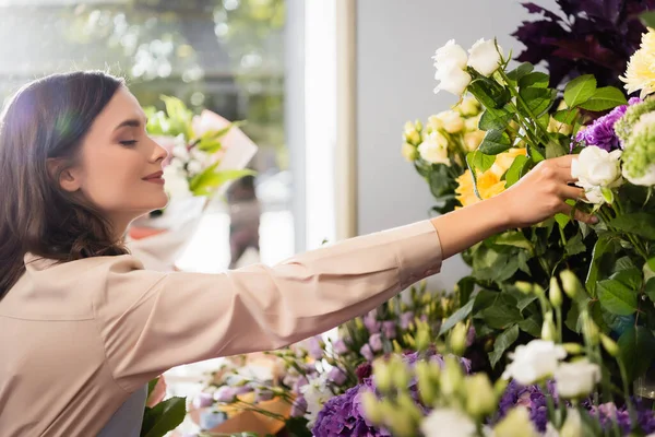Side view of happy female florist taking rose near racks of flowers with blurred window on foreground — Stock Photo