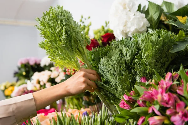 Ausgeschnittene Ansicht des Blumenhändlers, der grüne Pflanze von Blumengestell auf verschwommenem Hintergrund nimmt — Stockfoto