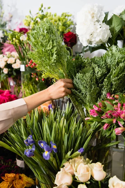 Vista recortada de floristería tomando planta verde de estante de flores sobre fondo borroso - foto de stock
