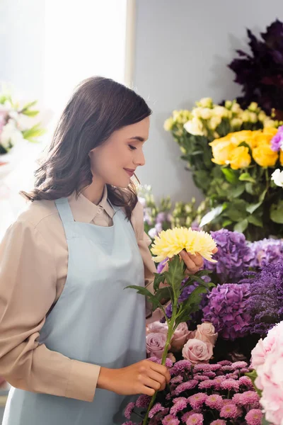 Vista lateral de una florista sonriente que se preocupa por la astra amarilla cerca de estantes de flores con ventana borrosa en el fondo - foto de stock