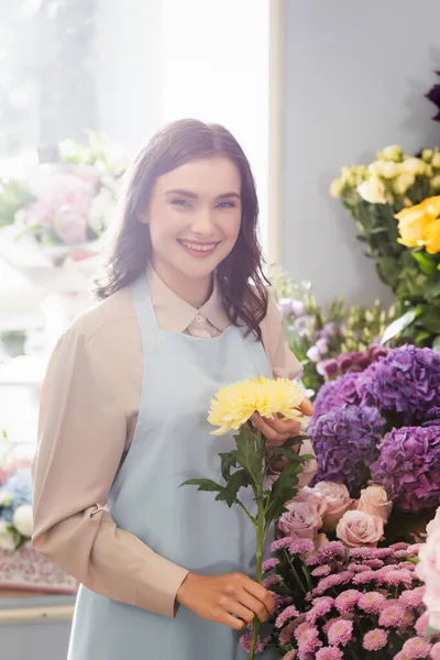 Joyeux fleuriste féminin avec aster jaune regardant la caméra près des étagères de fleurs avec fenêtre floue sur fond — Photo de stock