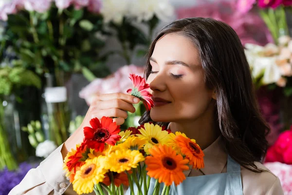 Lächelnde Floristin mit geschlossenen Augen, die Gerbera-Blume auf verschwommenem Hintergrund riecht — Stockfoto