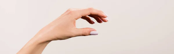 Vista recortada de la mano femenina aislada en gris, bandera - foto de stock