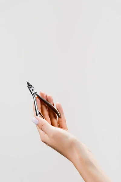 Vista recortada de la mujer sosteniendo pinza cutícula aislada en gris — Stock Photo