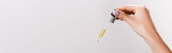 Cropped view of woman holding pipette with oil isolated on grey, banner — Stock Photo
