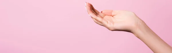 Vista recortada de la mano femenina aislada en rosa, bandera - foto de stock