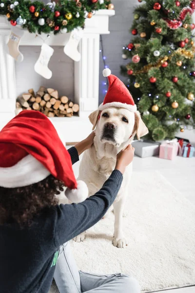 Vue arrière de fille afro-américaine étreignant chien labrador dans le chapeau de Père Noël sur fond flou — Photo de stock