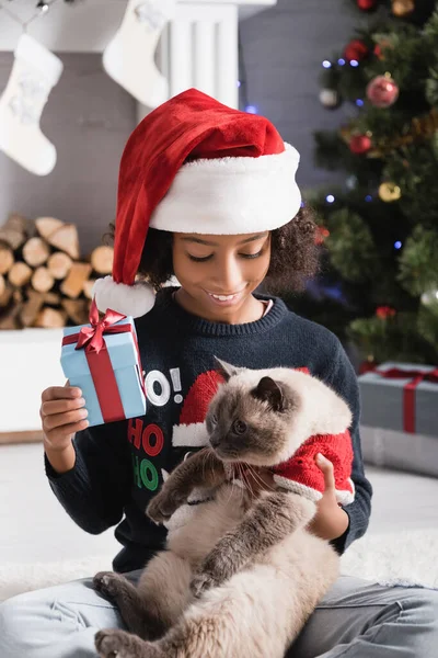 Joyeuse fille afro-américaine tenant chat moelleux et boîte cadeau près de la décoration de Noël sur fond flou — Photo de stock