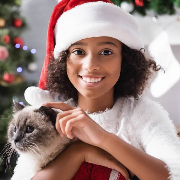 Fröhliche afrikanisch-amerikanische Mädchen mit Weihnachtsmütze streichelt Katze und schaut in die Kamera auf verschwommenem Hintergrund — Stockfoto