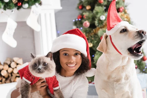 Happy african american girl smiling at camera while holding fluffy cat near yawning labrador dog on blurred background — Stock Photo