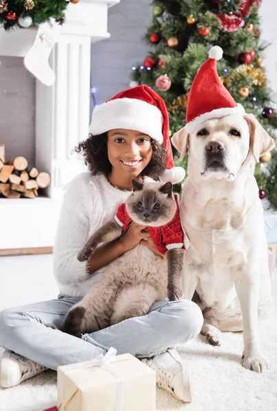 Alegre africana americana chica holding fluffy gato cerca labrador perro y navidad árbol sobre borrosa fondo - foto de stock