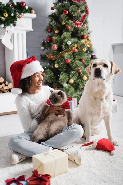 Excitada africana americana chica mirando labrador perro mientras holding gato cerca navidad árbol - foto de stock