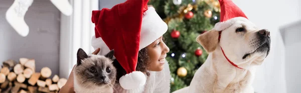 Fille afro-américaine souriante en chapeau de Père Noël près du chien labrador et chat moelleux sur fond flou, bannière — Photo de stock