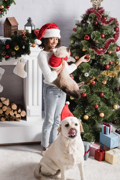 Labrador sobresaliendo lengua cerca de feliz africana americana chica sosteniendo gato y tocando la bola de Navidad - foto de stock