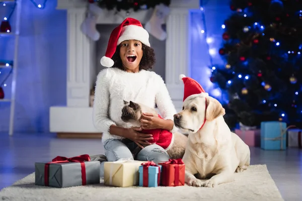 African american girl with open mouth, hugging cat and sitting near labrador on floor with presents, on blurred background — Stock Photo