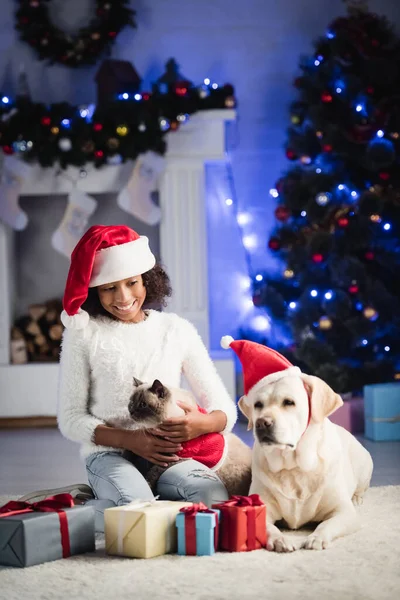 Lächelnde Afroamerikanerin mit Weihnachtsmütze, Katze umarmt und neben Labrador auf dem Boden sitzend mit Geschenken, auf verschwommenem Hintergrund — Stockfoto