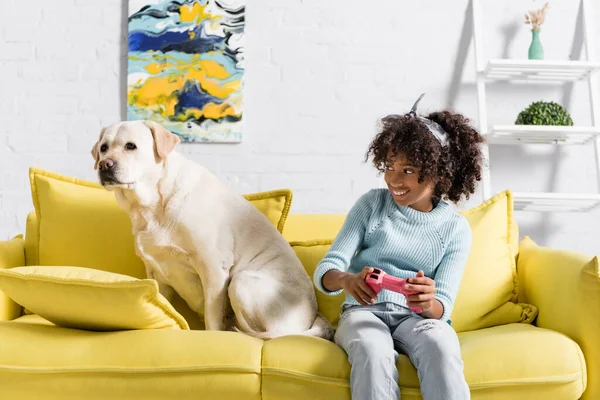 KYIV, UCRANIA - 02 DE OCTUBRE DE 2020: Sonriente chica afroamericana jugando con el joystick y mirando a retriever, mientras está sentada en el sofá en casa - foto de stock