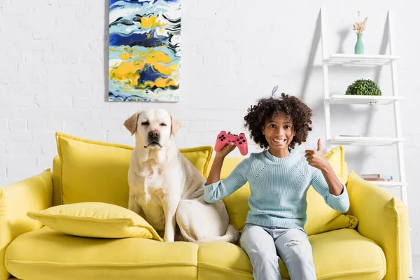 QUIIV, UCRÂNIA - OUTUBRO 02, 2020: menina americana africana feliz com polegar para cima e joystick sentado perto retriever no sofá em casa — Fotografia de Stock