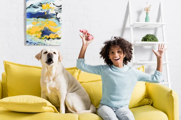 KYIV, UKRAINE - 02 OCTOBRE 2020 : fille afro-américaine excitée avec les mains dans l'air, tenant un joystick et assise près de aboyer labrador à la maison — Photo de stock