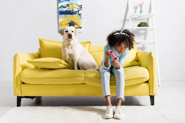 KYIV, UKRAINE - OCTOBER 02, 2020: Focused african american girl bending while playing with joystick near retriever at home — Foto stock