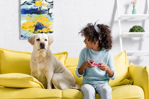 KYIV, UCRANIA - 02 DE OCTUBRE DE 2020: excitada chica afroamericana con joystick mirando a labrador, mientras está sentada en el sofá en casa - foto de stock