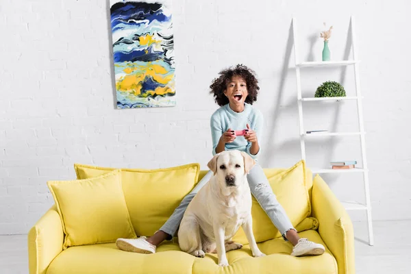 KIEW, UKRAINE - 02. OKTOBER 2020: aufgeregtes afrikanisch-amerikanisches Mädchen sitzt hinter Labrador auf Sofa und spielt zu Hause mit Joystick — Stockfoto