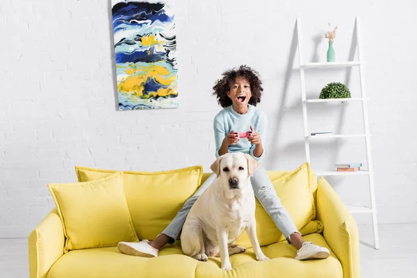 QUIIV, UCRÂNIA - OUTUBRO 02, 2020: menina afro-americana animada sentada atrás do labrador no sofá, enquanto brincava com o joystick em casa — Fotografia de Stock