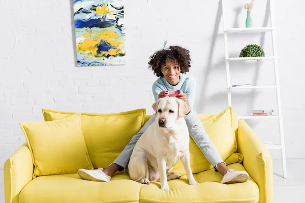 KYIV, UCRANIA - 02 DE OCTUBRE DE 2020: niña afroamericana sonriente sentada detrás de labrador en el sofá, mientras juega con el joystick en casa - foto de stock