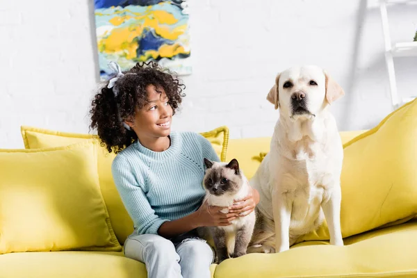 Cheerful girl with headband embracing siamese cat and looking at retriever sitting on yellow sofa, on blurred background — Stock Photo