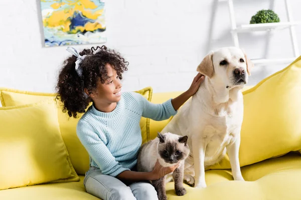 Chica rizada sonriendo y acariciando retriever, mientras se sienta cerca de gato siamés en sofá amarillo, sobre fondo borroso - foto de stock