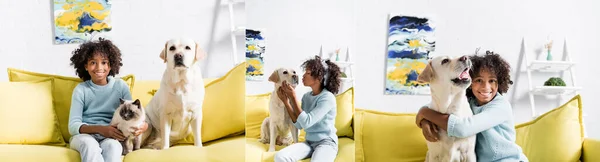 Collage of smiling african american girl sitting near dog and cat, embracing and kissing labrador at home, banner — Stock Photo