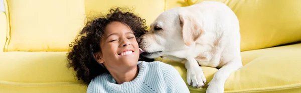 Retriever licking girl cheek, while lying on yellow sofa at home, banner — Stock Photo