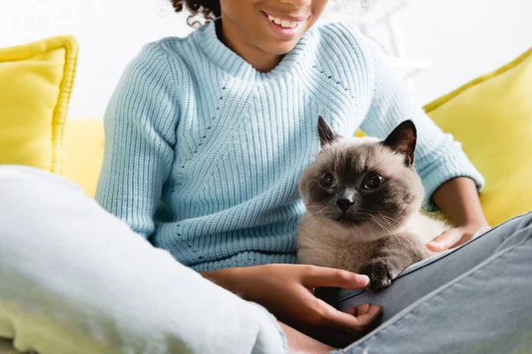 Vista ritagliata di sorridente ragazza africana americana con le gambe incrociate, accarezzando gatto sdraiato sul divano a casa — Foto stock