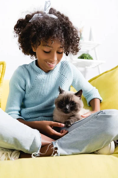 Chica afroamericana acariciando y mirando al gato, mientras está sentado en el sofá sobre fondo borroso - foto de stock