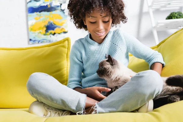 Sonriente chica afroamericana con las piernas cruzadas, acariciando y mirando al gato, mientras se sienta en el sofá sobre un fondo borroso - foto de stock