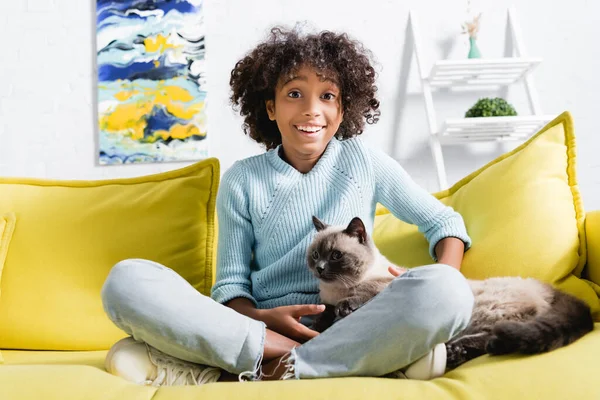 Menina americana africana feliz com pernas cruzadas olhando para a câmera, enquanto acariciando gato no sofá no fundo borrado — Fotografia de Stock