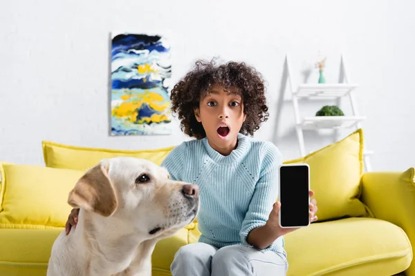 Excitada chica afroamericana mostrando un teléfono inteligente con pantalla en blanco y sentada cerca de retriever en un sofá sobre un fondo borroso - foto de stock